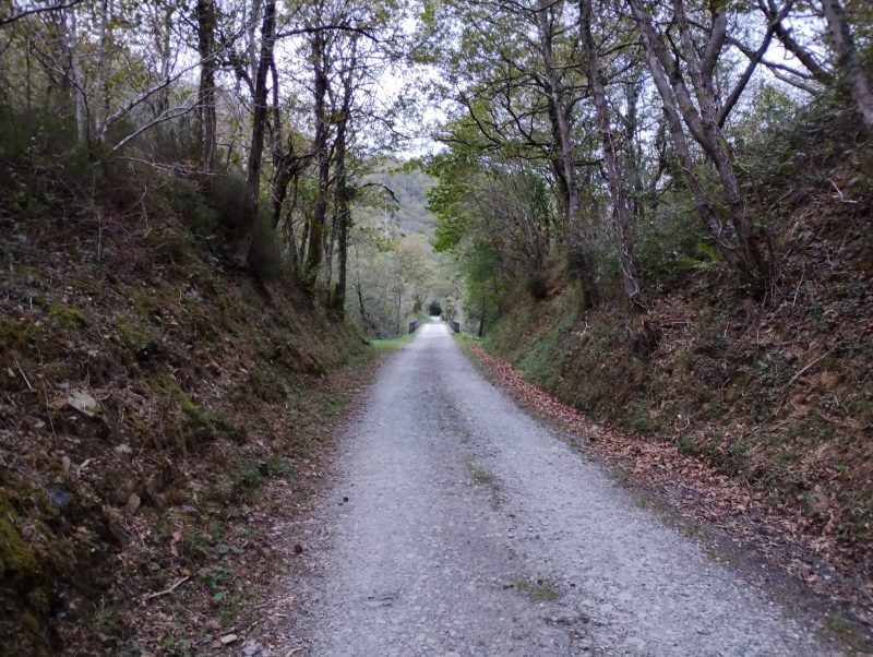 Vía verde del Plazaola en Gipuzkoa